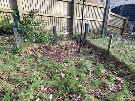 Photo of free Mesh fencing (Widcombe Bath) #2