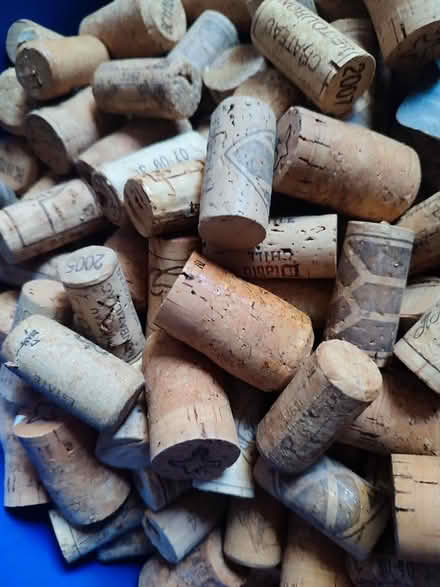 Photo of free Corks (Kenton NE3) #1