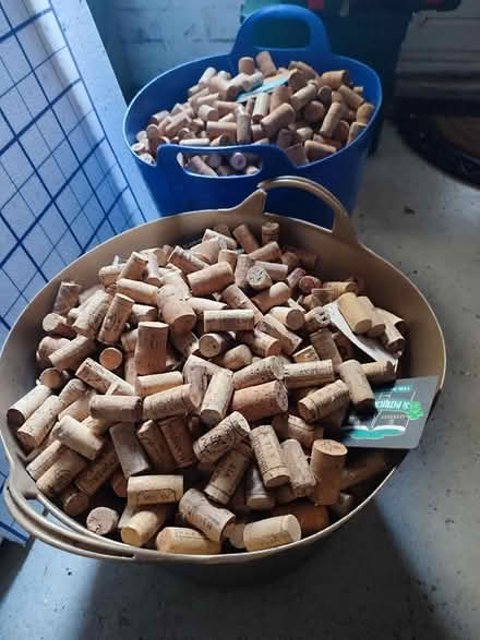 Photo of free Corks (Kenton NE3) #2