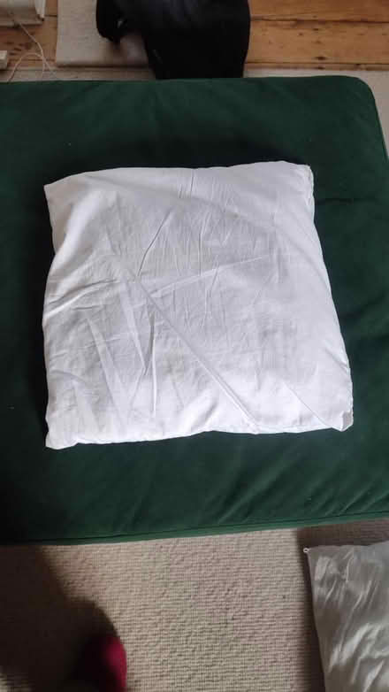 Photo of free Cushion inner (B29) #1