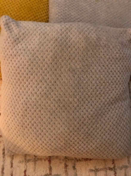 Photo of free 3 Cushions (Ore TN35) #2