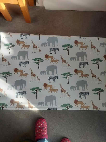 Photo of free Roller blind with animals on (Warwick CV34) #1