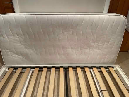 Photo of free Single Trundle bed and mattress (Brixham TQ5) #4