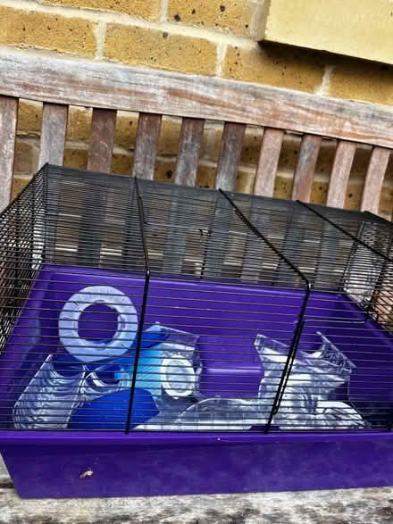 Photo of free Hamsters cage with accessories (Walton Manor OX2) #1