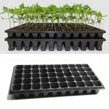 Photo of Seed Cell Trays (LD7) #1