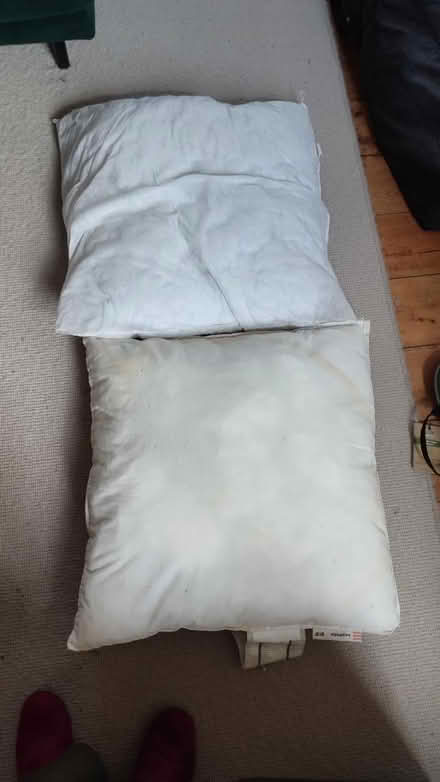 Photo of free Old 26 x 26 inch pillows (B29) #1