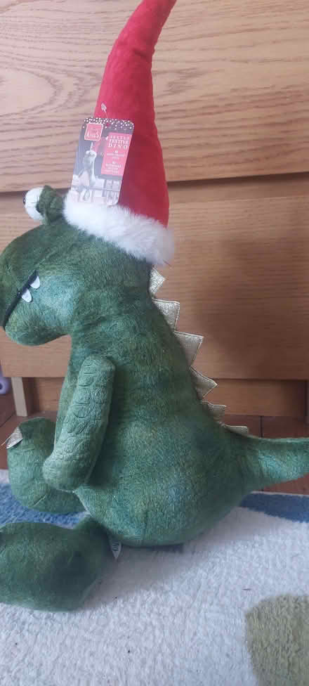 Photo of free Christmas decor Dino new just unwanted (Lower Weston) #4