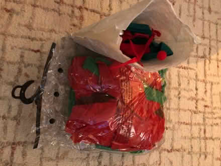 Photo of free Men’s elf costume (Ore TN35) #1