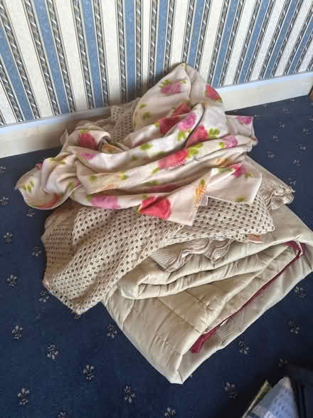 Photo of free Old blankets (Alfreton DE55) #1