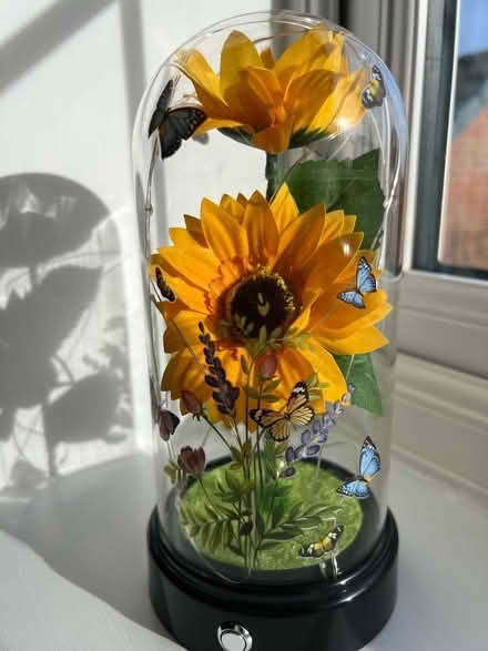Photo of free Ornament (Longford GL2) #1