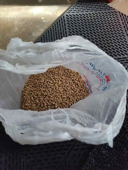 Photo of free Dry Cat Food (Dane County) #1