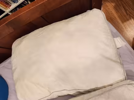 Photo of free 2 pillows, clean, used (Maple Leaf / Northgate) #1