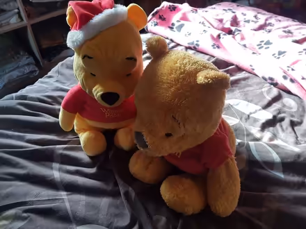 Photo of free Winnie the Pooh bears (Staines-upon-Thames TW18) #2