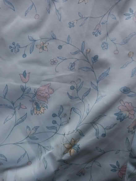 Photo of free Four lined curtains (Aykley Heads DH1) #1