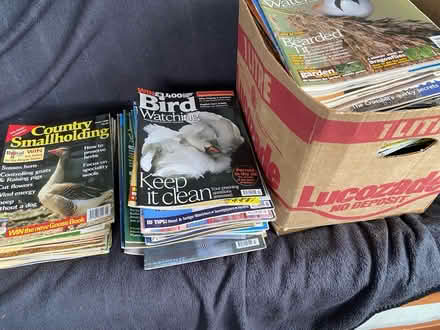 Photo of free Magazines (Canterbury) #4