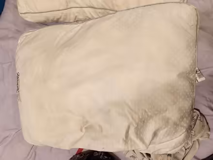 Photo of free 2 pillows, clean, used (Maple Leaf / Northgate) #2