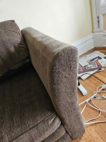 Photo of free 3 person couch sofa bed (60302) #2