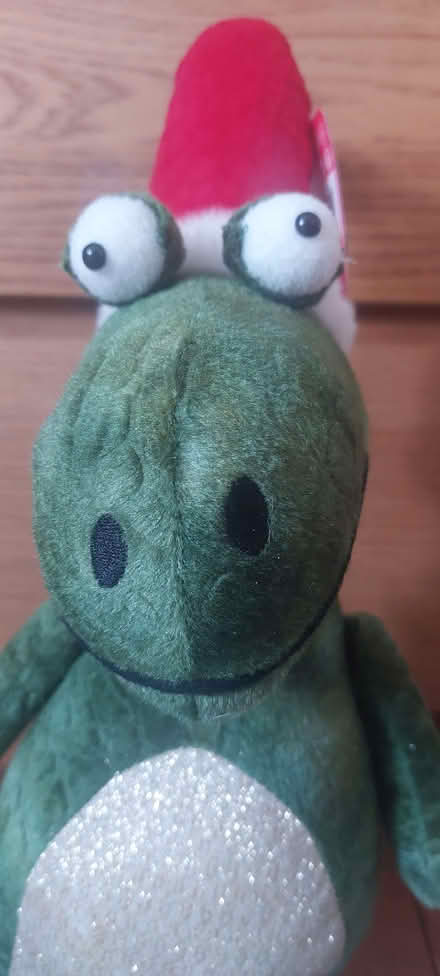Photo of free Christmas decor Dino new just unwanted (Lower Weston) #3