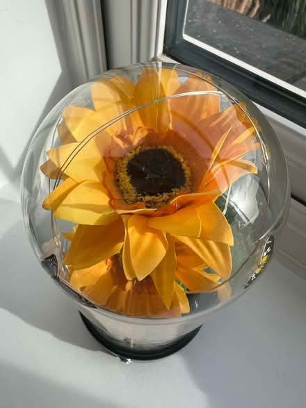Photo of free Ornament (Longford GL2) #2
