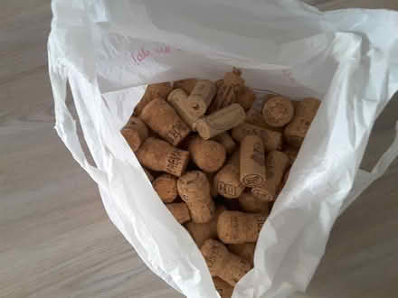 Photo of free Champagne corks (HP13 near railway station) #1