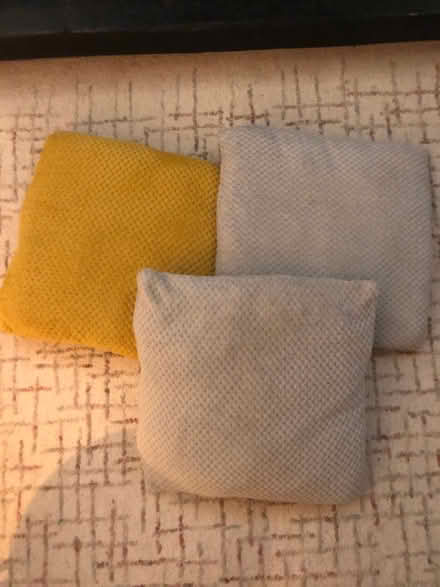 Photo of free 3 Cushions (Ore TN35) #1