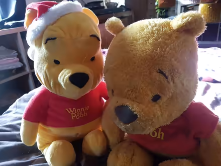 Photo of free Winnie the Pooh bears (Staines-upon-Thames TW18) #3