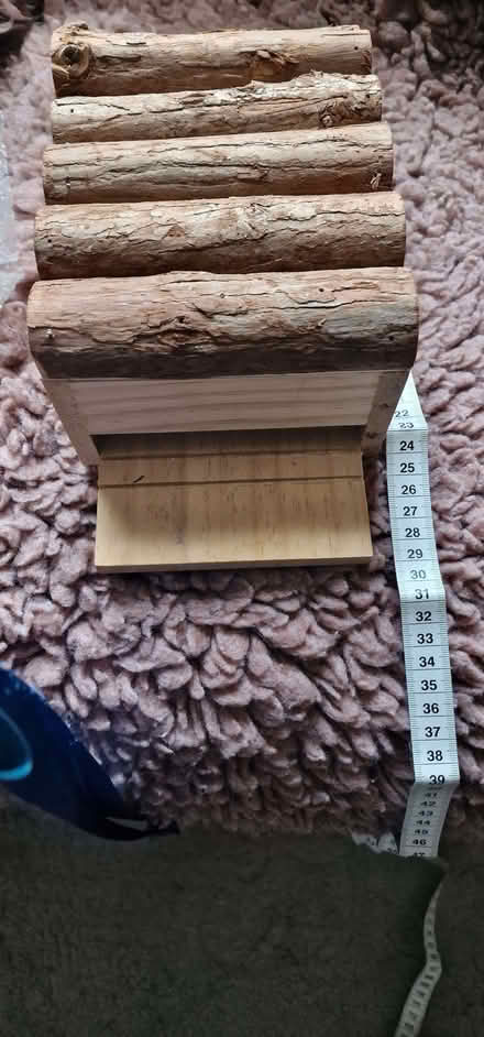 Photo of free Small wooden bat box (Eton SL4) #1