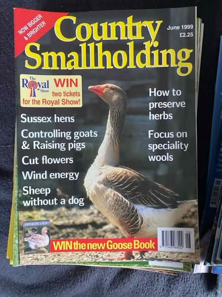 Photo of free Magazines (Canterbury) #2
