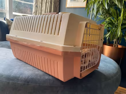 Photo of free Cat carrier (Berkhamsted HP4) #2