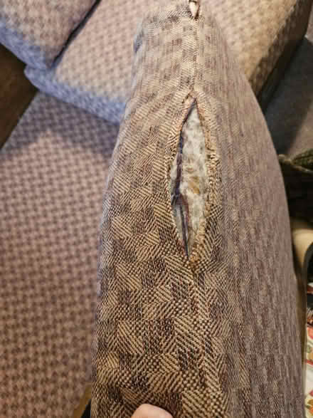 Photo of free Couch (60302) #3