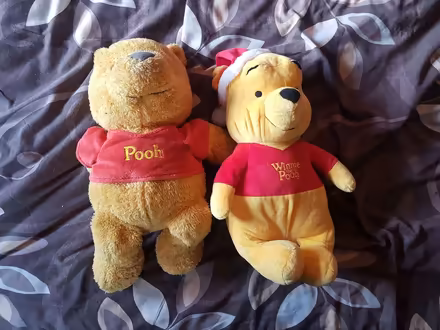 Photo of free Winnie the Pooh bears (Staines-upon-Thames TW18) #1