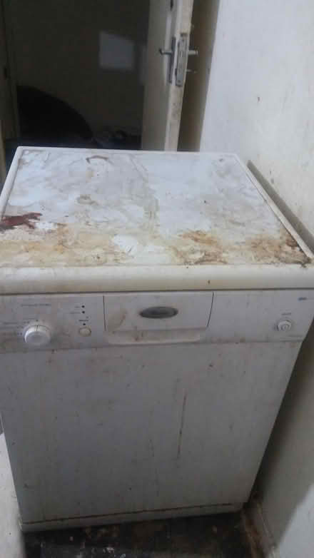 Photo of free massage bed,bed,rug,dish washer (Peckham Se15 6tz) #3