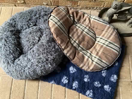 Photo of free Dog- bedding (Upper Radley OX14) #1