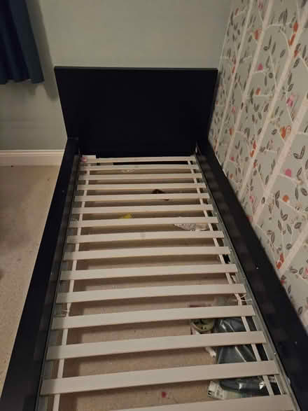 Photo of free Black wooden single bed (N11 (arnos grove)) #1