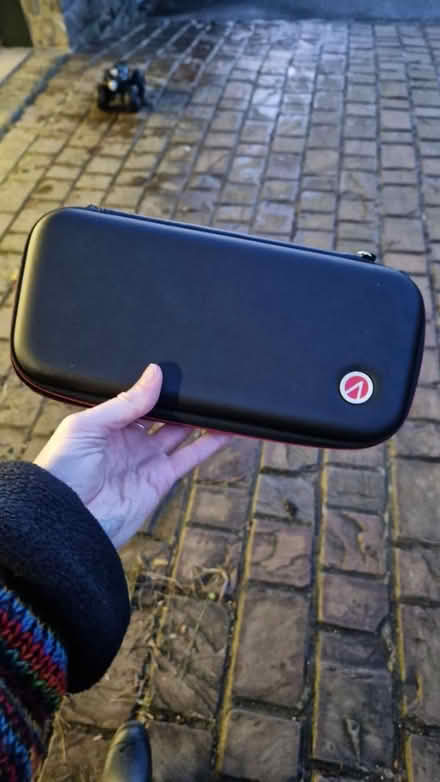 Photo of free Nintendo Switch Case (Bay Horse) #1