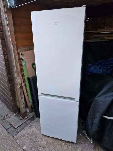 Photo of free Fridge freezer (Bridlington YO16) #2