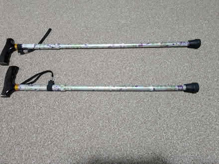 Photo of free Two adjustable walking sticks (Old Basingstoke RG24) #1