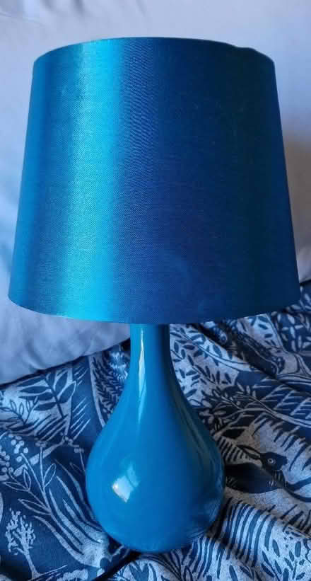 Photo of free Blue bedside lamp (Alvaston DE24) #1