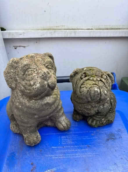 Photo of free Ornamental garden Dogs (Brookwood GU24) #1