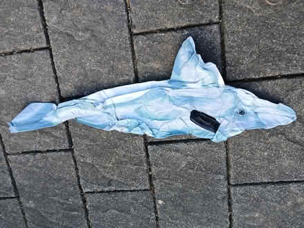 Photo of free Inflatable Whale and Dolphin (Helsington LA8) #1