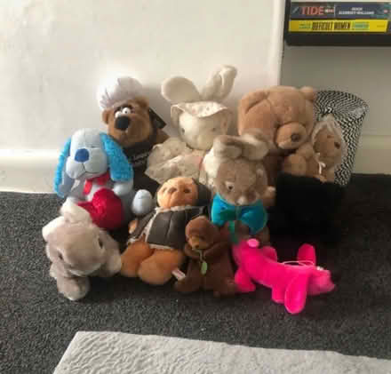 Photo of free Teddies (Catford) #1