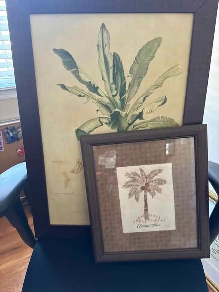 Photo of free Palm tree picture frames (Cedar knolls, NJ) #2