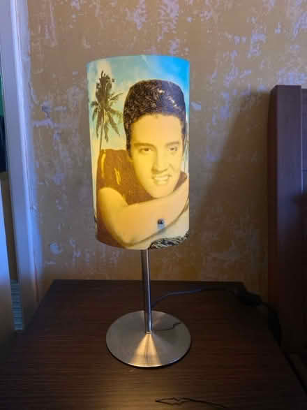Photo of free Elvis lamp (Bedminster Down BS13) #3