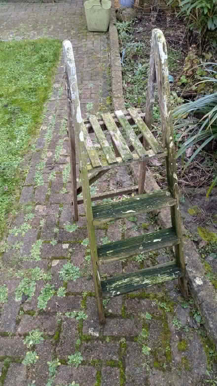 Photo of free Old ladder (Kempshott RG22) #1