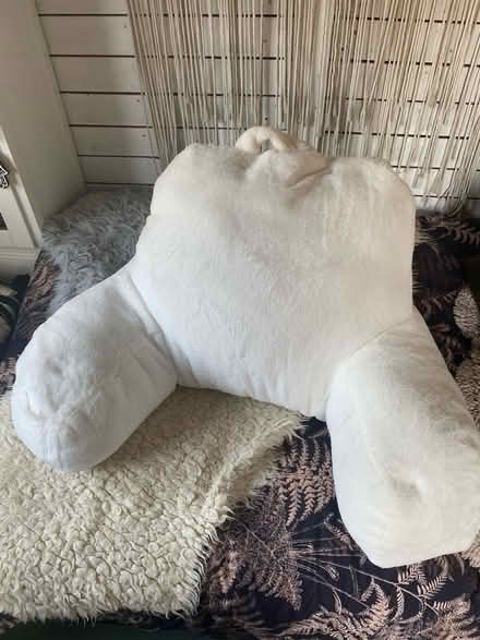 Photo of free Bed cushion and pouffe (Midsomer norton) #1