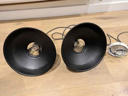 Photo of free Pendant lights (Lewes BN7) #1