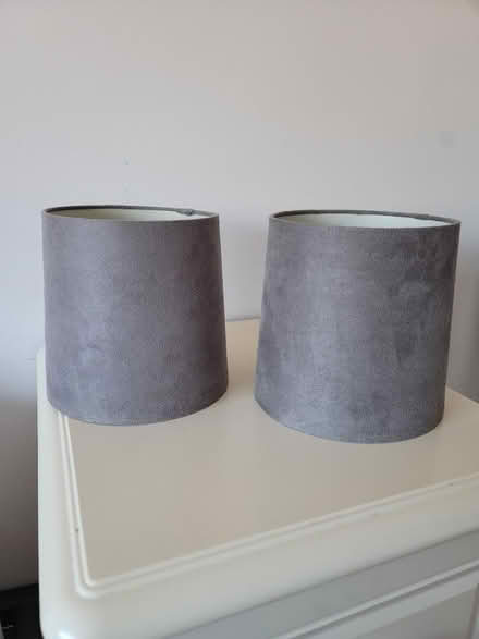 Photo of free Small Lampshades (GL1) #1