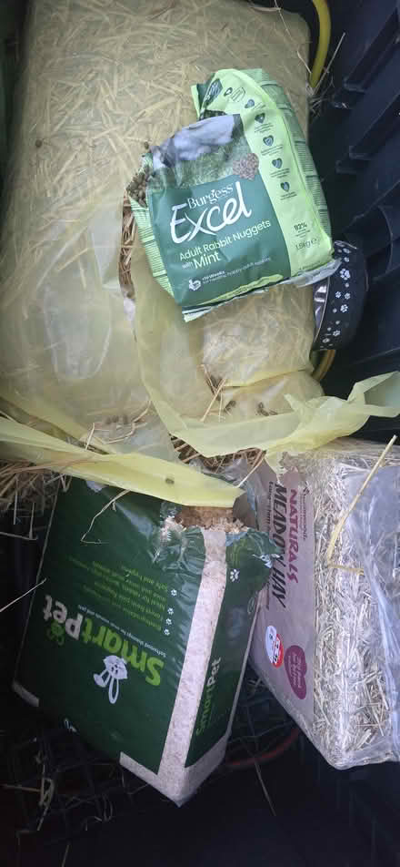 Photo of free Rabbit items (SK14) #1