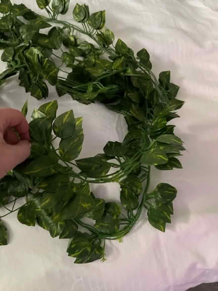 Photo of free Decorative faux leaves (Br2 Shortlands) #2