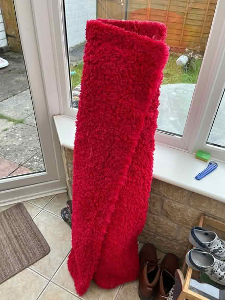 Photo of free Rug (Hold) (BA2) #1